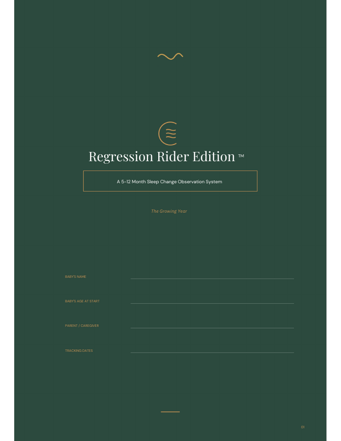Cover of the Regression Rider Edition sleep change observation system